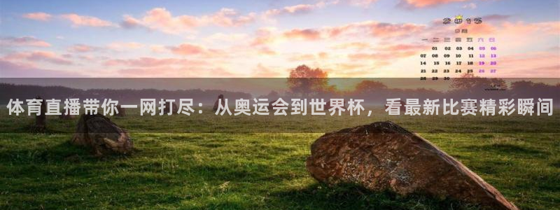 下载松鼠电视直播：体育直播带你一网打尽：从奥运会到世界杯，看最新比赛精彩瞬间