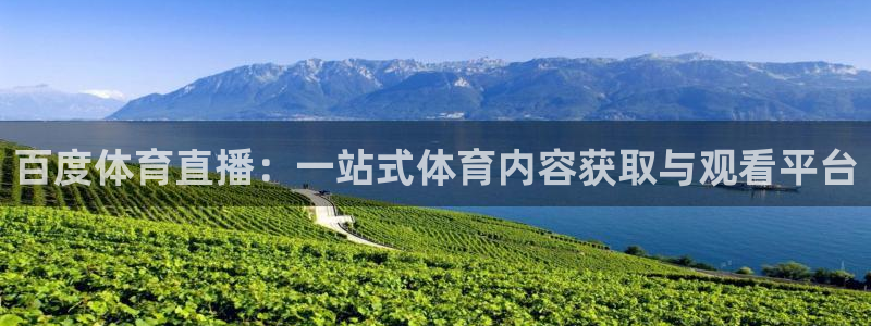 松鼠直播体育免费：百度体育直播：一站式体育内容获取与观看平台