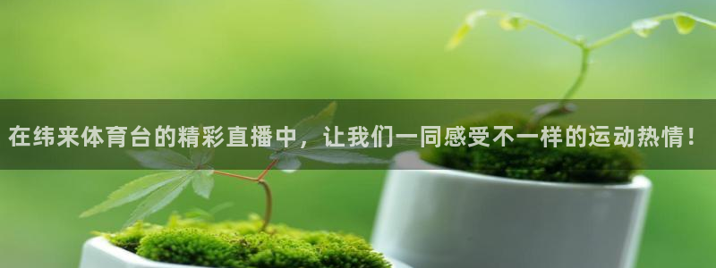 松鼠体育下载：在纬来体育台的精彩直播中，让我们一同感受不一样的运动热情！