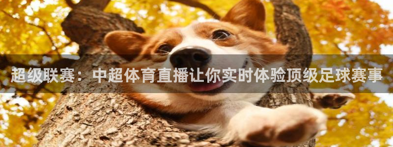 松鼠平台：超级联赛：中超体育直播让你实时体验顶级足球赛事