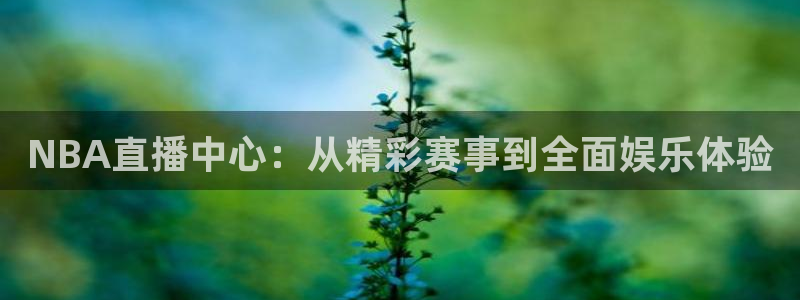 松鼠官方网站：NBA直播中心：从精彩赛事到全面娱乐体验