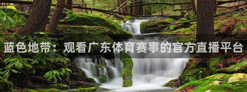 松鼠体育在线直播：蓝色地带：观看广东体育赛事的官方直播平台