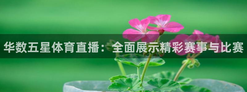 松鼠体育下载：华数五星体育直播：全面展示精彩赛事与比赛