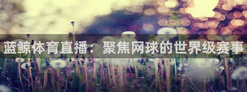 松鼠直播体育：蓝鲸体育直播：聚焦网球的世界级赛事