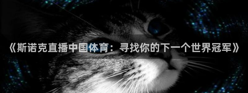 松鼠直播nba：《斯诺克直播中国体育：寻找你的下一个世界冠军》