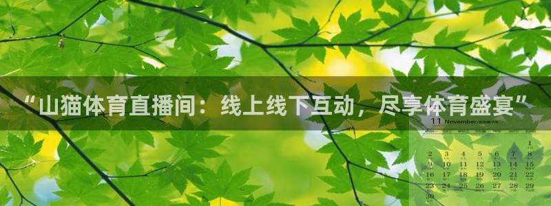松鼠直播nba：“山猫体育直播间：线上线下互动，尽享体育盛宴”