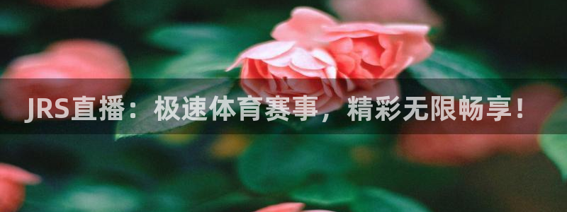 下载松鼠电视直播：JRS直播：极速体育赛事，精彩无限畅享！